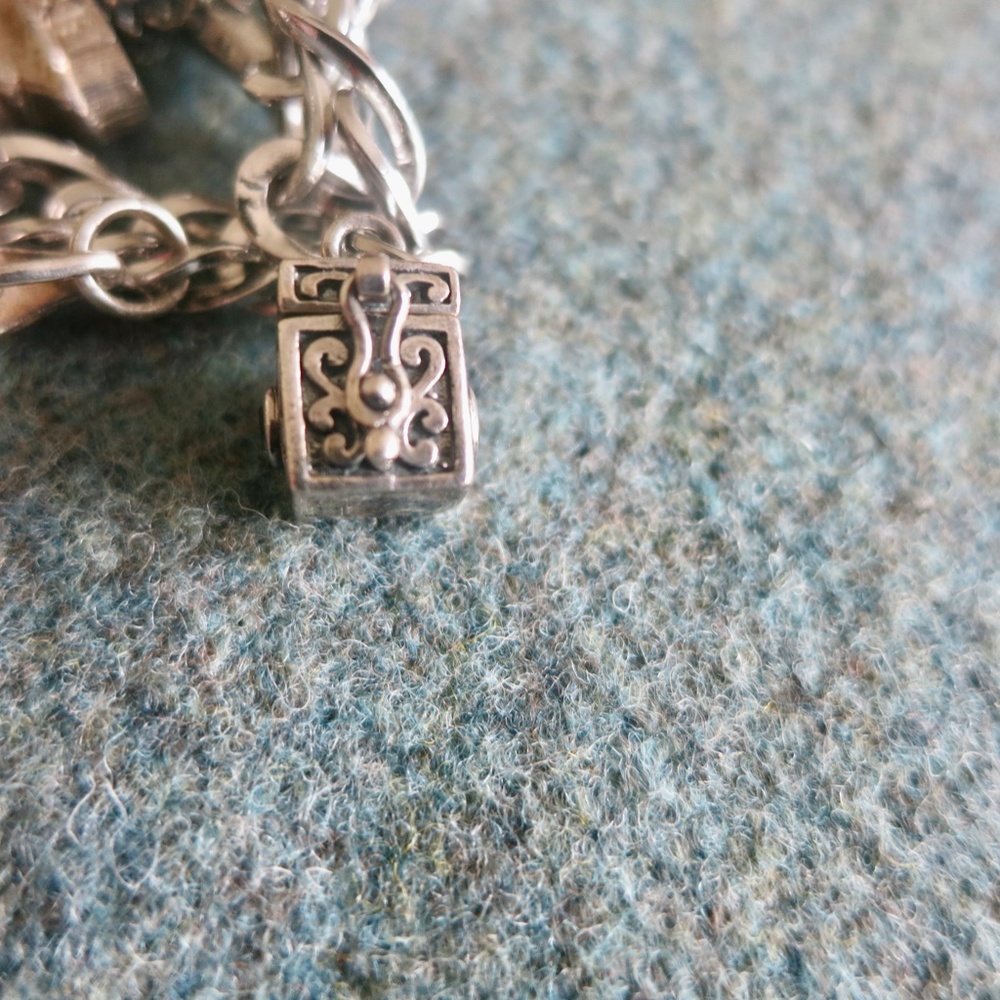Sterling Silver Charm Bracelet and Charms - Picture 8 of 9